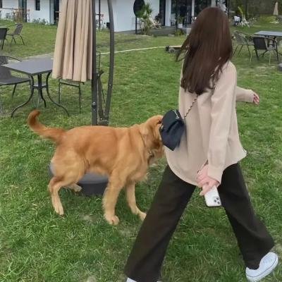 孽爱伤痕