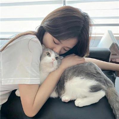痞子逛沙漠